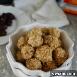 No-Bake Peanut Butter Oat Energy Bites 6 Peanut Butter Oatmeal No Bake Bites recipe final presentation