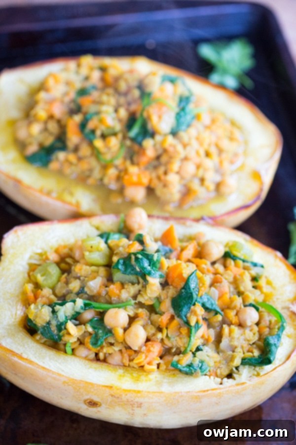 Red Lentil Coconut Curry Stuffed Spaghetti Squash