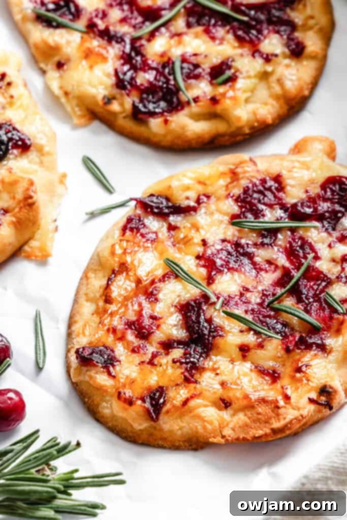 Warm Brie Cranberry Naan on a white paper 