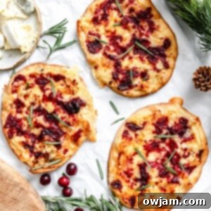 Warm Brie Cranberry Naan Bread 1200 x 1200