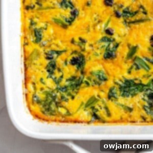 Cheesy Black Bean Egg Bake 1200 x 1200