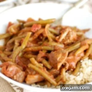 Hearty Lebanese Beef and Green Beans 7 Lebanese Beef and Green Beans 1200 x 1200