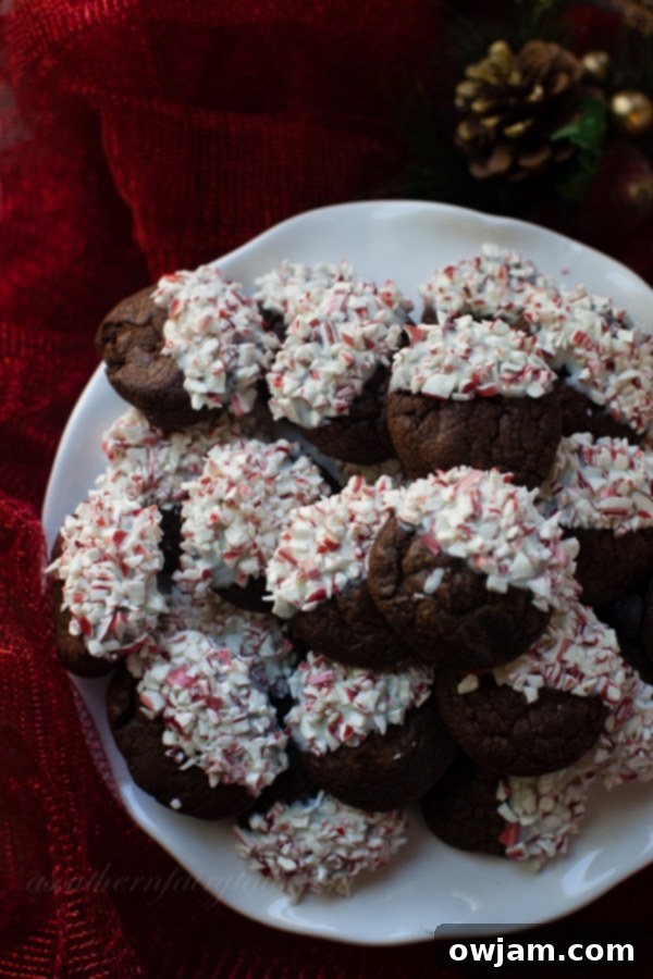 Rich Dark Chocolate Cookies dipped in festive crushed candy canes.
