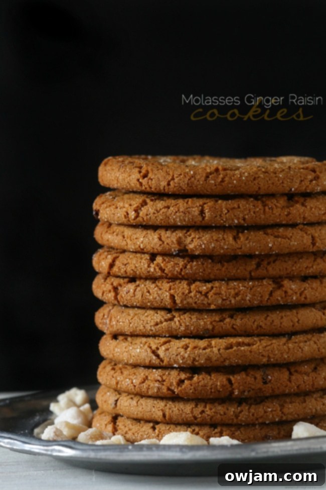 Chewy Molasses Ginger Raisin Cookies, a classic spiced holiday treat.