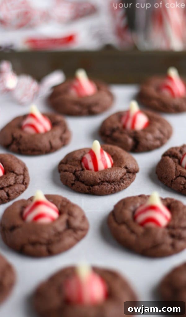Easy 4-Ingredient Christmas Cookies, perfect for quick holiday baking.