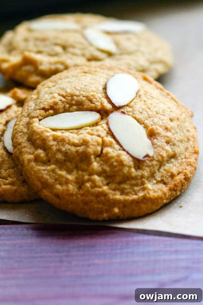 Cinnamon Spiced Almond Paleo Sugar Cookies, a healthy holiday treat.