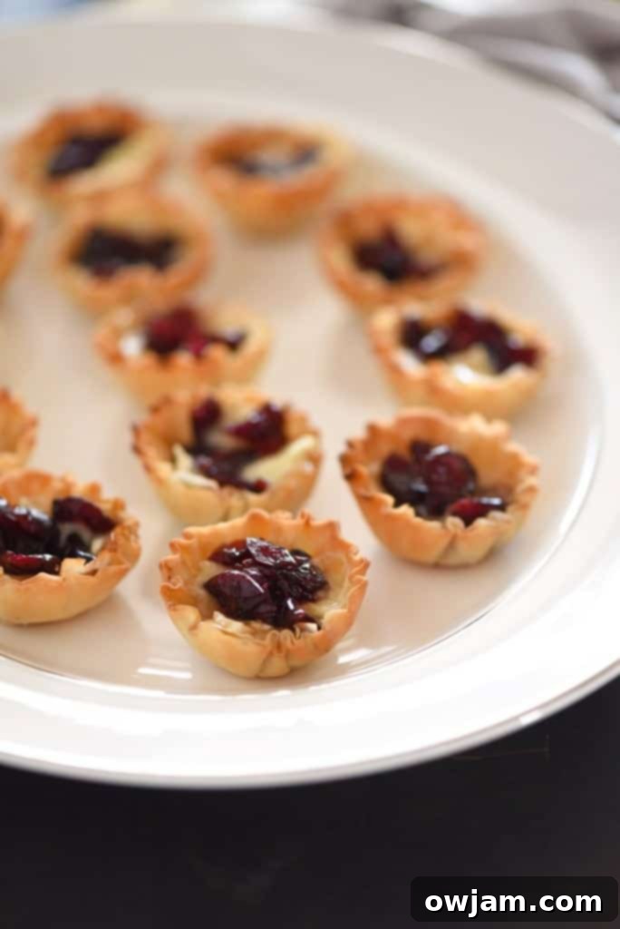 Party Perfect: 12 Appetizers That Use Just Four Ingredients 10 Cranberry-Brown-Sugar-Brie-Bites-4-684x1024
