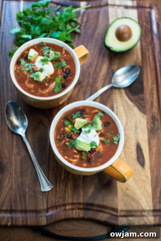 Chicken Tortilla Soup