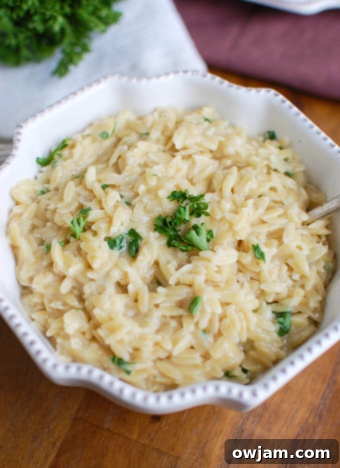 Easy 4-Ingredient Cheesy Orzo 3 A bowl of creamy 4-Ingredient Cheesy Orzo Recipe, garnished with fresh herbs, ready to be enjoyed.