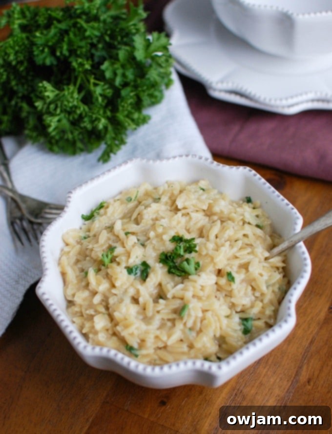 Easy 4-Ingredient Cheesy Orzo 4 Close-up of 4-Ingredient Cheesy Orzo pasta in a bowl with a spoon, highlighting its creamy texture and fresh parsley.