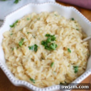 Easy 4-Ingredient Cheesy Orzo 5 A top-down view of the 4-Ingredient Cheesy Orzo Recipe in a bowl, showing its rich texture and fresh green garnish.