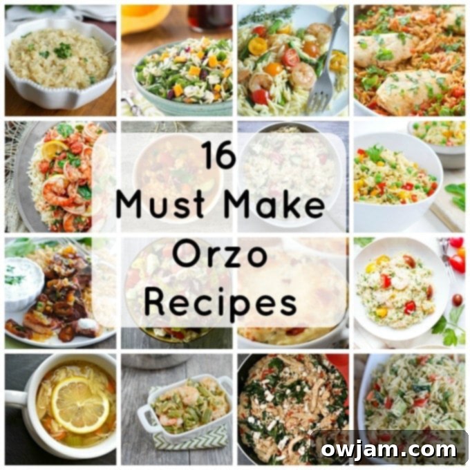 A vibrant collage showcasing various mouth-watering orzo recipes, including fresh salads, rich soups, and savory main dishes, highlighting orzo's versatility in different culinary applications.