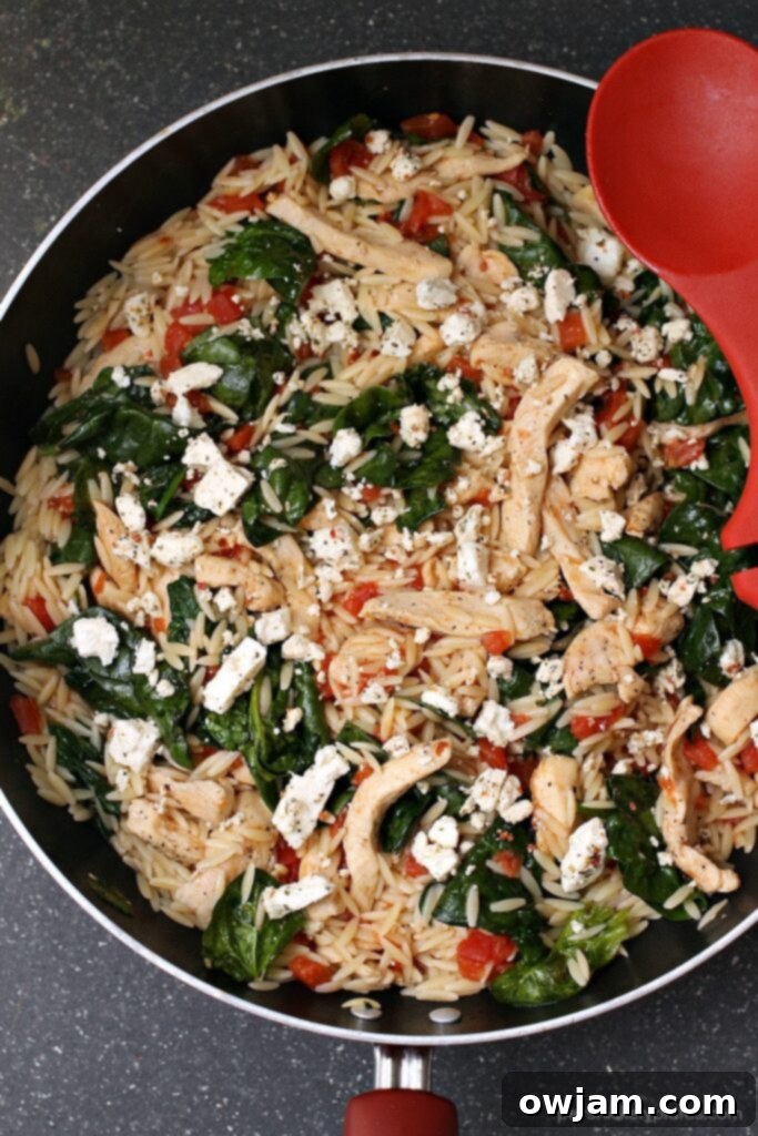 A hearty chicken spinach and orzo skillet, featuring tender chicken pieces, fresh spinach, and orzo pasta, all cooked in a single pan for convenience.