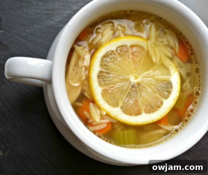 A delightful bowl of lemon chicken orzo soup, elegantly garnished with fresh dill and a bright slice of lemon, presenting a comforting and inviting meal.