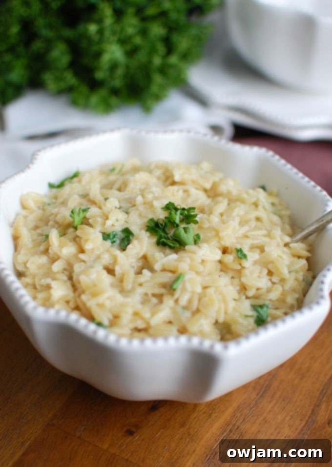 A close-up view of a serving of cheesy orzo, adorned with melted cheese and a sprinkle of fresh green herbs, presented in a rustic bowl.