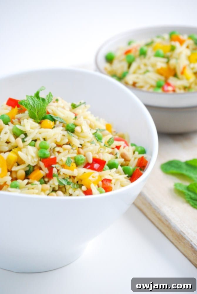 A colorful roasted vegetable orzo salad, packed with vibrant bell peppers, tender zucchini, and juicy cherry tomatoes, all tossed perfectly with orzo pasta.