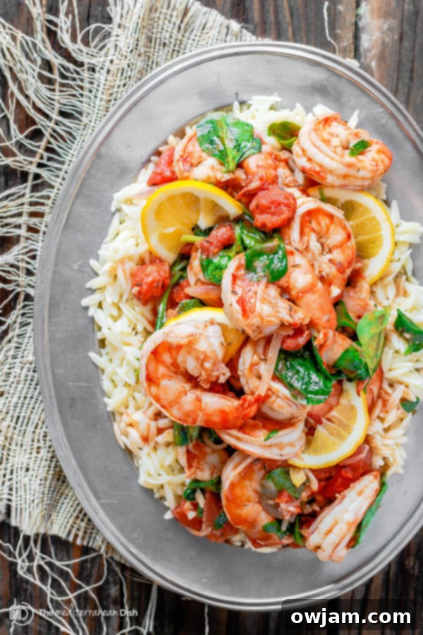 A mouth-watering skillet dish of garlic tomato shrimp served with orzo pasta, elegantly topped with fresh basil for a vibrant finish.