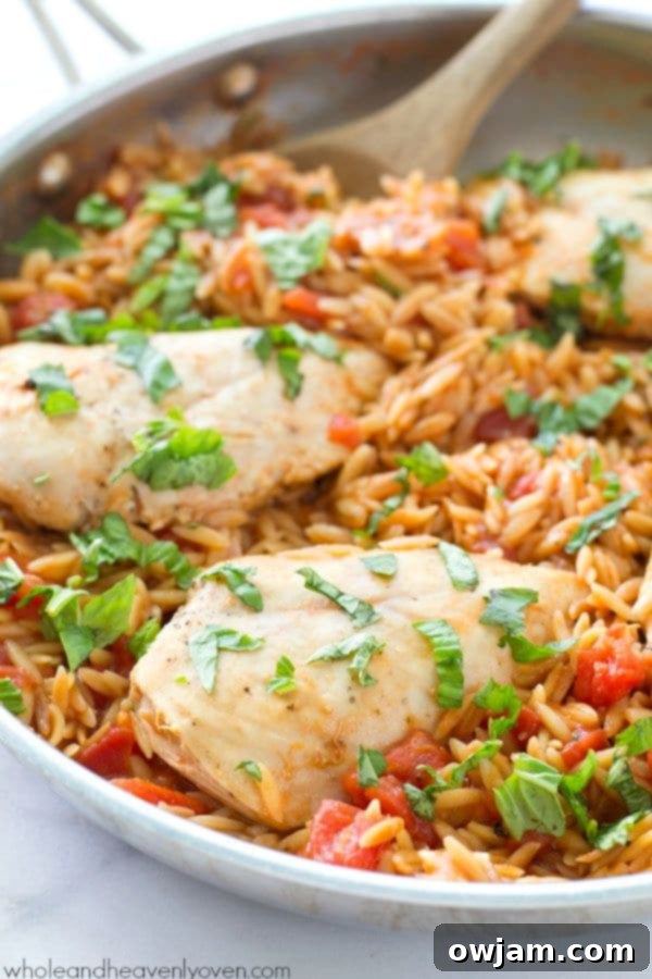 A delicious one-pot Italian chicken and orzo pasta dish, simmered with juicy tomatoes and aromatic herbs, beautifully garnished with fresh basil.