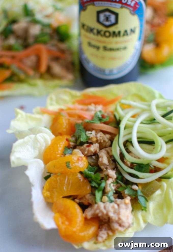 Asian Chicken Zoodle Lettuce Wraps - ideal for dinner