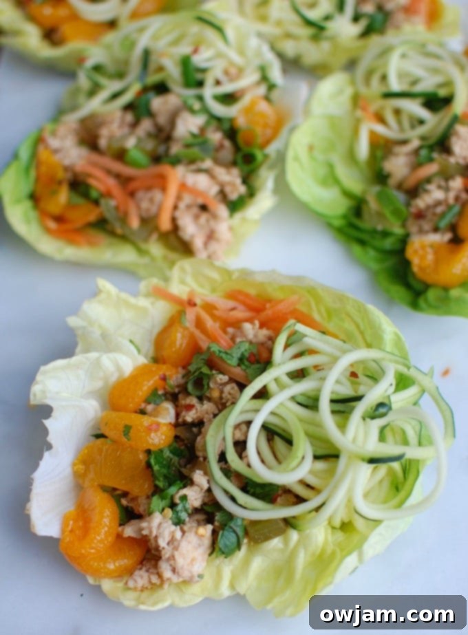 Asian Chicken Zoodle Lettuce Wraps - perfect for Chinese New Year