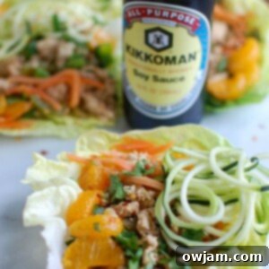 Close-up of Asian Chicken Zoodle Lettuce Wraps
