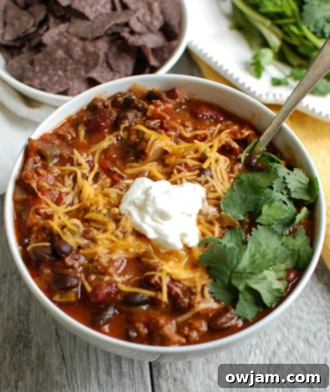 Hearty Beef and Bean Chili 2 Beef and Bean Chili with cilantro