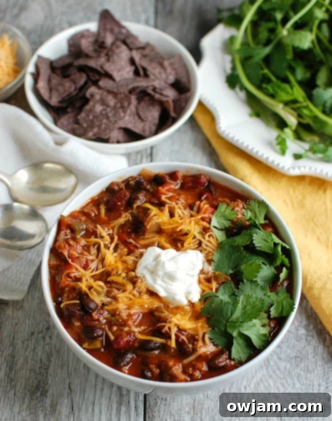 Hearty Beef and Bean Chili 4 Beef Poblano Black Bean Chili with cilantro