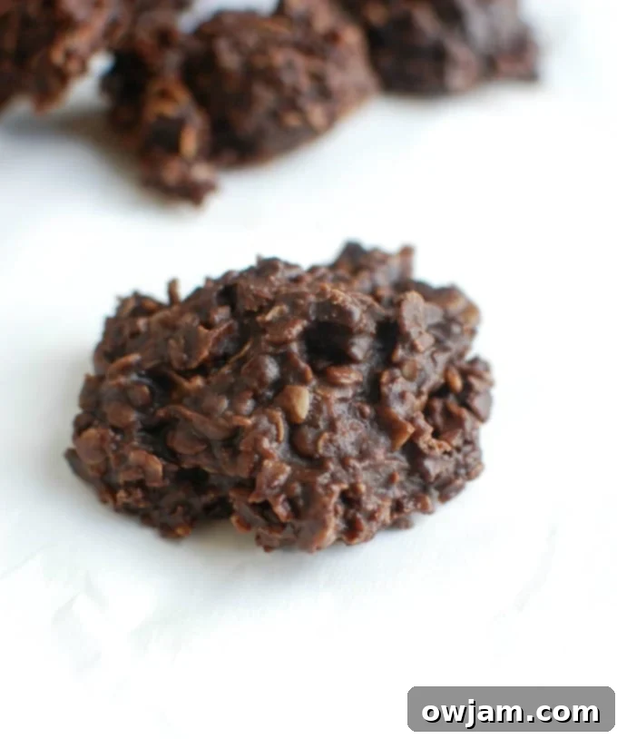 Effortless No-Bake Cookies 3 No Bake Cookie Recipe one cookie