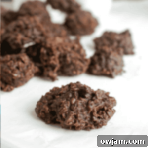 Effortless No-Bake Cookies 6 No Bake Cookie Recipe 1200 x 1200