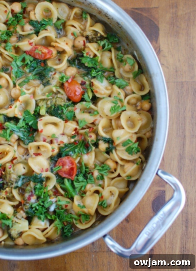 One Pot Kale Broccoli Chickpea Orecchiette Pasta