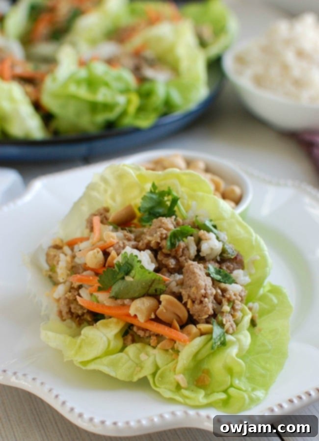 Spicy Thai Turkey Lettuce Cups 2 Thai Turkey Brown Rice Lettuce Wraps served as a healthy lunch or dinner option.
