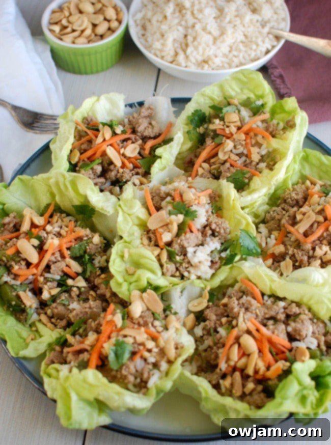 Spicy Thai Turkey Lettuce Cups 3 Fresh ingredients for Thai Turkey Brown Rice Lettuce Wraps: vegetables, meat, and sauce components.