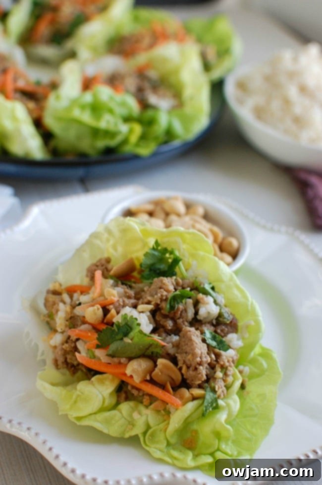 Spicy Thai Turkey Lettuce Cups 4 A perfectly assembled Thai Turkey Brown Rice Lettuce Wrap, ready to eat.
