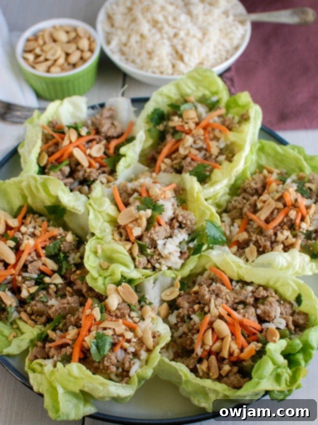 Spicy Thai Turkey Lettuce Cups 5 A vibrant close-up of Thai Turkey Brown Rice Lettuce Wraps, highlighting the fresh ingredients and appetizing texture.