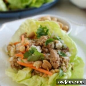 Spicy Thai Turkey Lettuce Cups 6 Asian lettuce wraps with meat and vegetables.