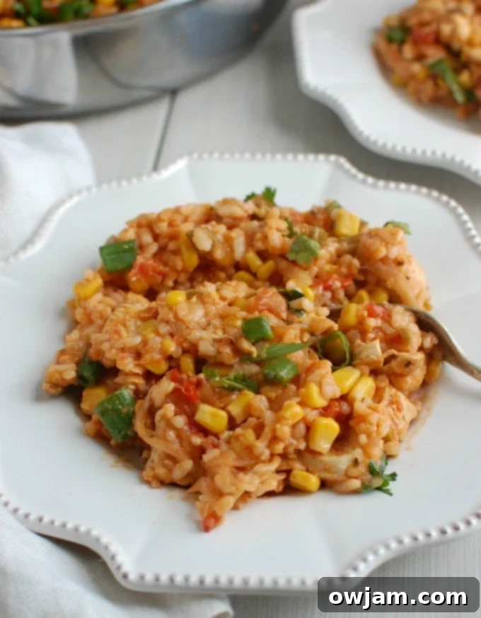 Zesty Southwest Chicken & Rice 2 Southwestern Chicken and Rice on plate
