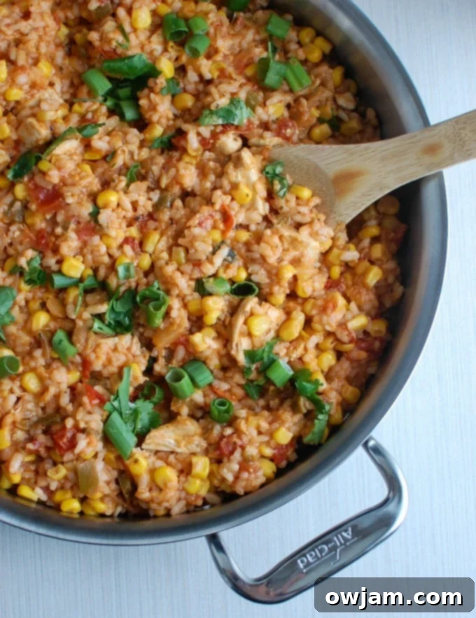 Zesty Southwest Chicken & Rice 3 Southwestern Chicken and Rice in skillet