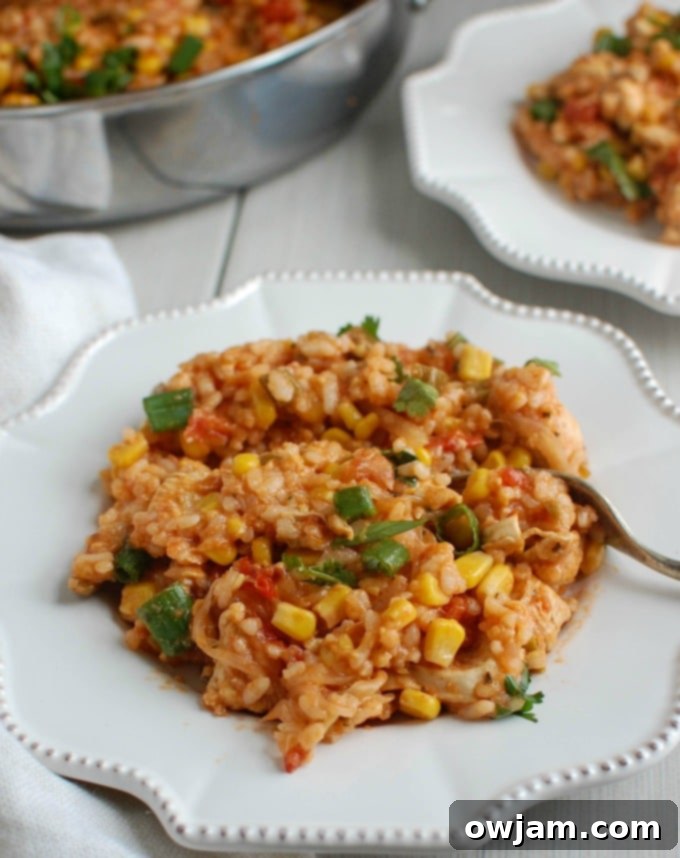 Zesty Southwest Chicken & Rice 4 Southwestern Chicken and Rice with fork