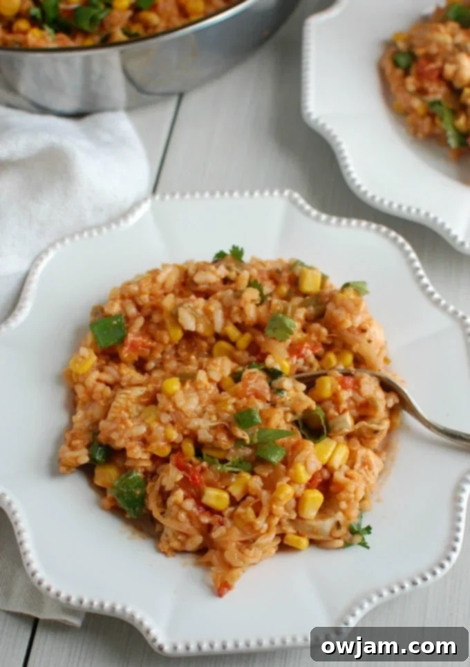 Zesty Southwest Chicken & Rice 5 Southwestern Chicken and Rice with fork on plate