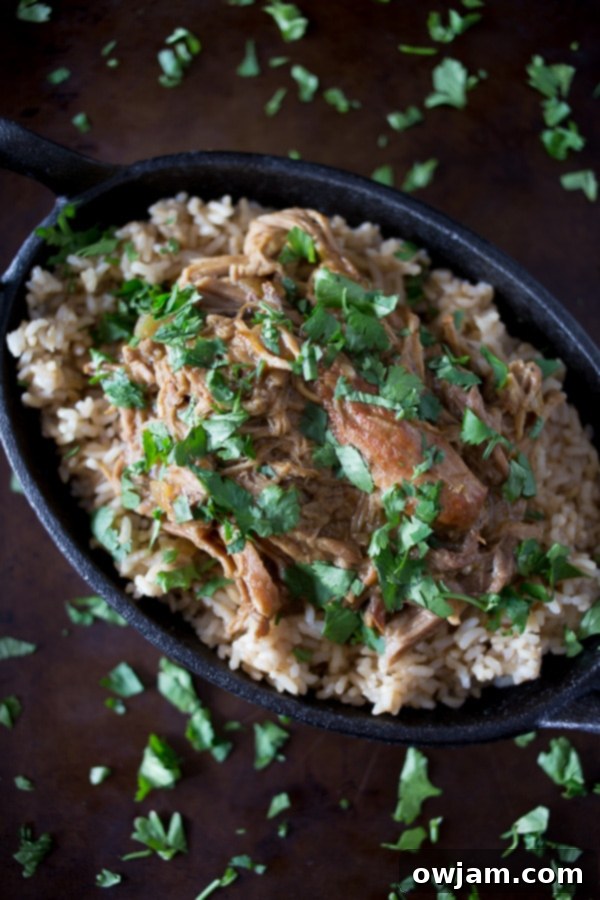 slow-cooker-honey-mustard-pulled-pork-3