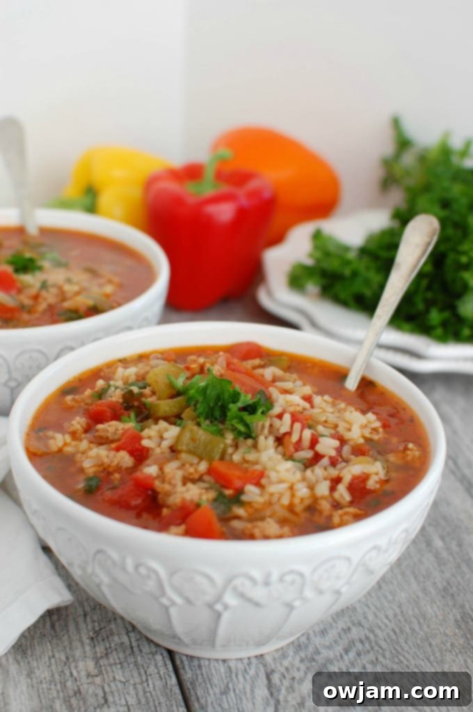5-low-Cooker-Stuffed-Pepper-Soup-3-1-of-1