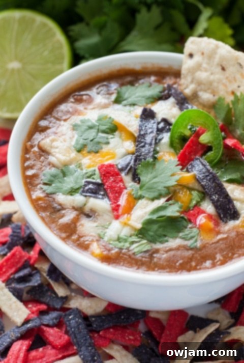 homemade-slow-cooker-crockpot-chicken-tortilla-soup-recipe-680x2-0673-480x713