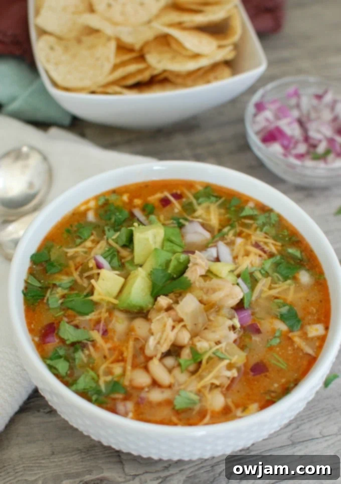 Slow Cooker White Chicken Chili with red onions and garnishes. 