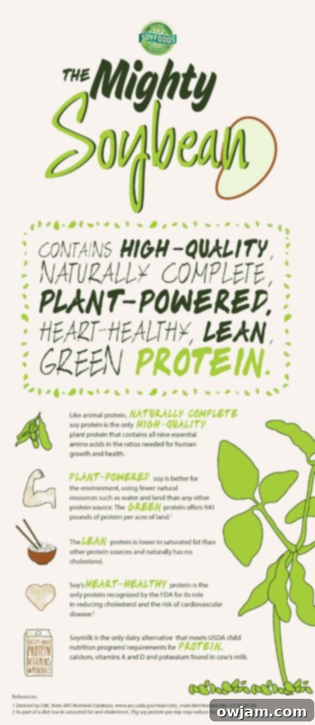 Vibrant Asian Shrimp Edamame Stir-Fry 4 Infographic illustrating the health benefits of soy protein.