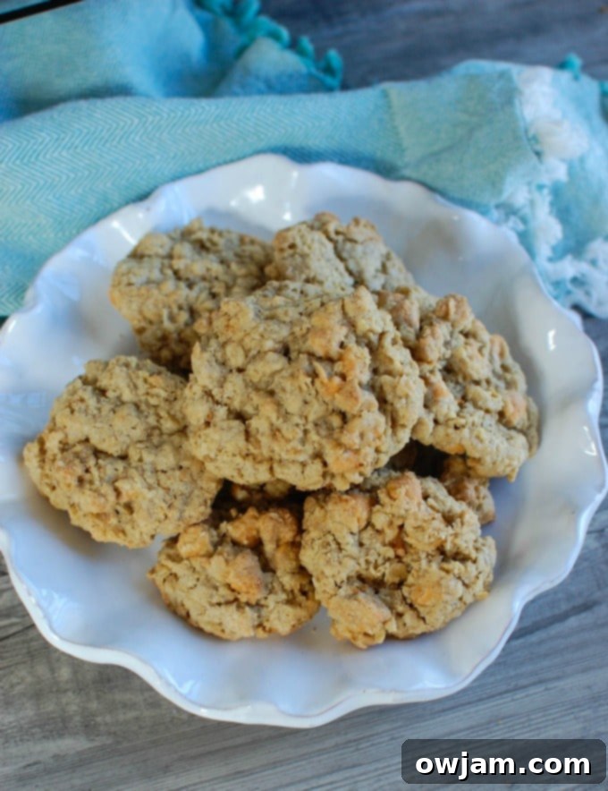 Close-up of a plate of Oatmeal Scotchies, highlighting their soft texture.
