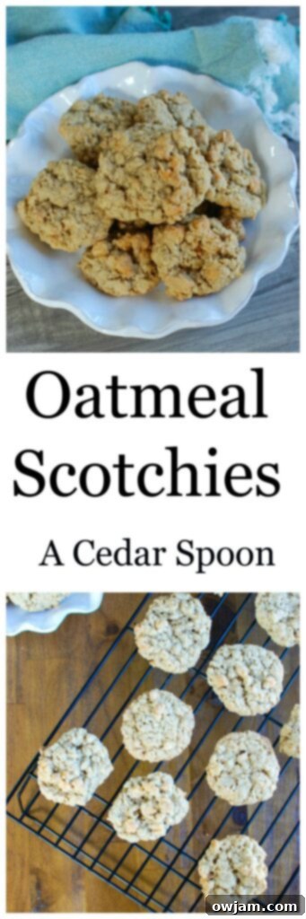 A collage featuring close-ups of freshly baked Oatmeal Scotchies, highlighting their golden-brown edges and soft centers.
