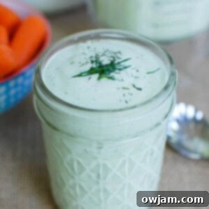 Creamy Dill Sauce 1200 x 1200