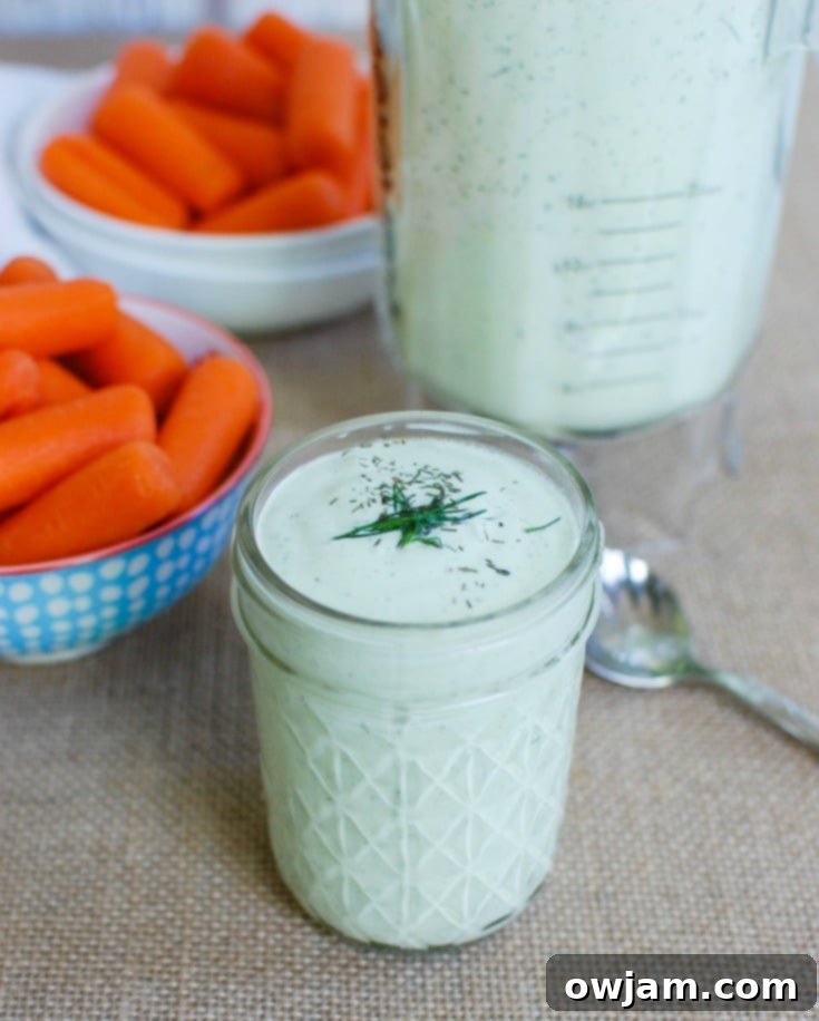 Close-up of Creamy Dill Sauce in a bowl, garnished with vibrant fresh dill leaves, highlighting its creamy texture.