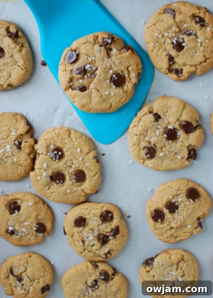 Salty Sweet Chocolate Chip Cookies 3 Sea Salt Chocolate Chip Cookies - my favorite cookies