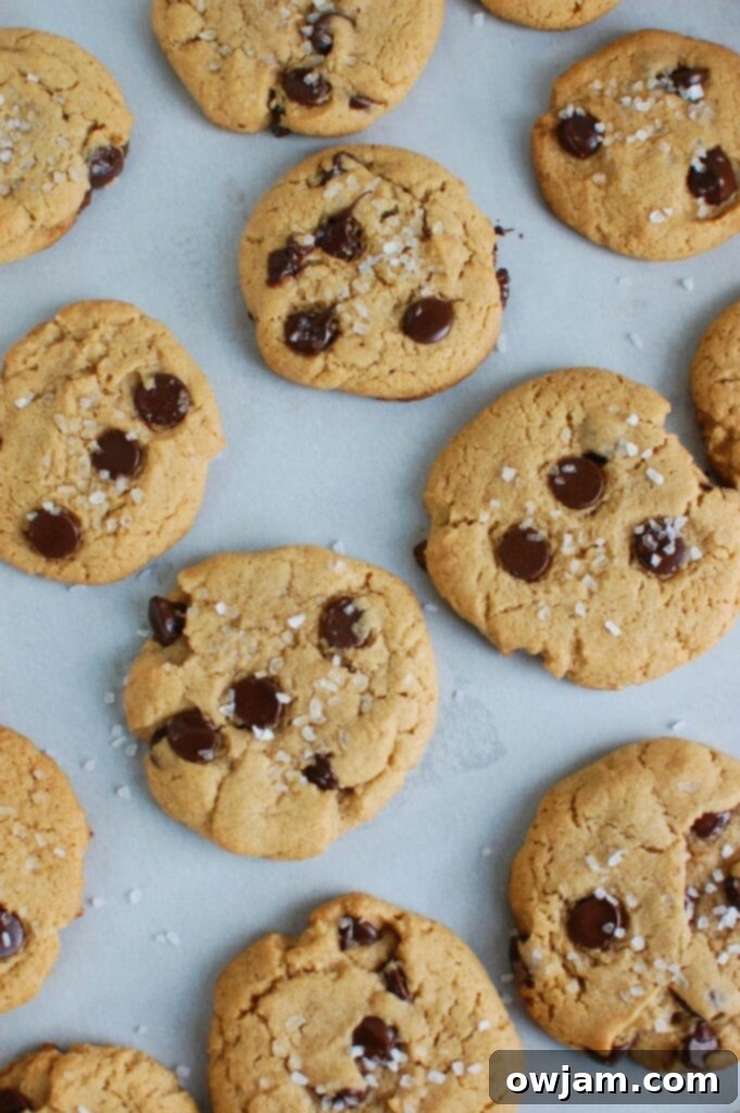 Salty Sweet Chocolate Chip Cookies 5 Sea Salt Chocolate Chip Cookies - sweet and salty